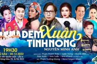 Nhạc sĩ Nguyễn Minh Anh, Tổ chức ca nhạc, Đêm Xuân Tình Nồng